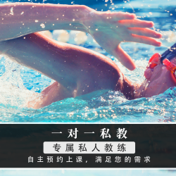 1对1视频技术指导（不含门票）