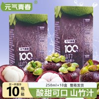 元气青春 山竹汁山竹果蔬汁配料干净果饮家庭装250ml/盒