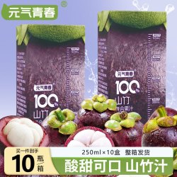 元气青春 山竹汁山竹果蔬汁配料干净果饮家庭装250ml/盒
