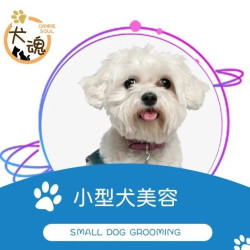 小型犬美容/狗2-5KG/普洗普修/免费接送