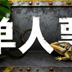 工作日单人撸爬新奇体验票