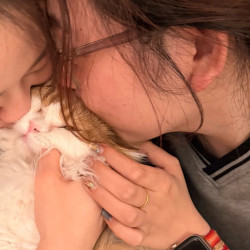 猫来财双人撸猫（包场）