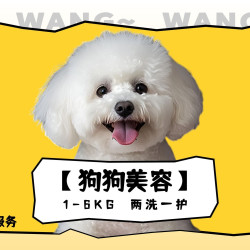 狗狗美容两洗一护（免费接送）