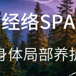头疗+SPA身体局部经络养护5选1