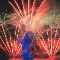 珠海长隆海洋王国-家庭票2大1小1日票团购券
