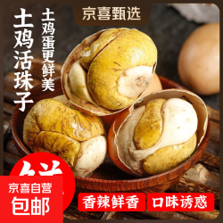 京喜 即食13天活珠子 五香味 40g*5枚装 香辣
