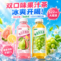 京典光年 &果本真522mL*2瓶果汁清甜可口整箱水饮料