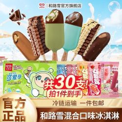 和路雪 梦龙雪糕 30支