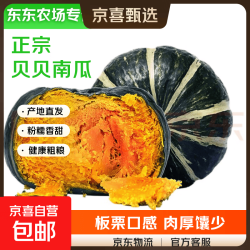 京喜 贝贝南瓜中果 4斤 带箱 净重3.7斤
