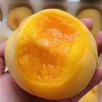 特大果 山东蒙阴 黄金毛桃 2.5斤装 4-6个