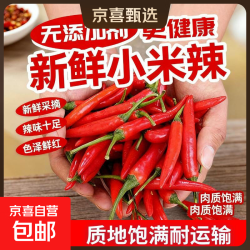 京喜 小米椒 100g