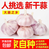 京喜 山东金乡紫白皮蒜 3头*4.0-4.5公分*100g