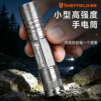 钢盾 高强度铝合金手电筒 1节5号电池 LED便携应急照明