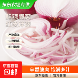 京喜 河南新鲜洋葱  带箱2斤装*净重1.5斤