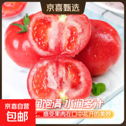 京喜 新鲜沙瓤西红柿 单果75g+*2斤带箱