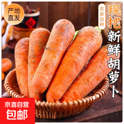 京喜 新鲜胡萝卜 2斤含箱
