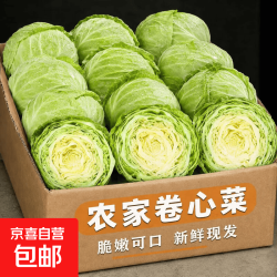 京喜 大包菜  1颗*2-3斤