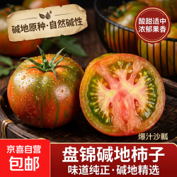 京喜加 盘锦碱地草莓柿子  2斤