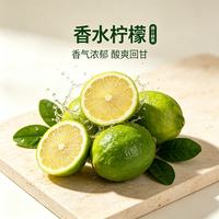 京觅 广东香水柠檬 4.5斤 单果70g+ 塔西提柠檬