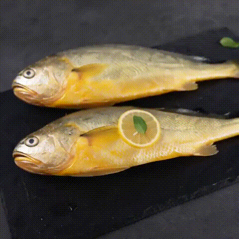 20点开始：海名威 鲜冻黄花鱼 2条 700g
