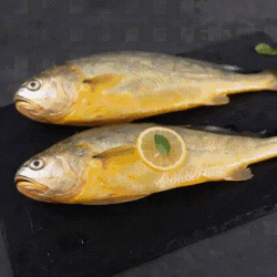 海名威 鲜冻黄花鱼 2条 700g