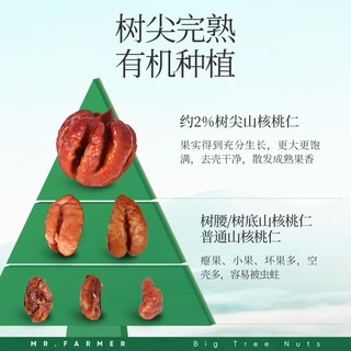 新农哥 有机山核桃仁 坚果炒货