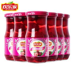 欢乐家 杨梅罐头 256g*6瓶