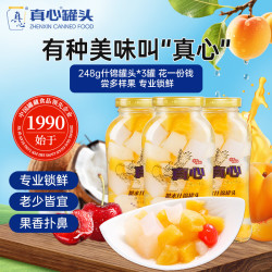 真心食品 真心什锦水果罐头248g*3罐玻璃瓶送礼父母亲戚朋友儿童餐后甜点零食
