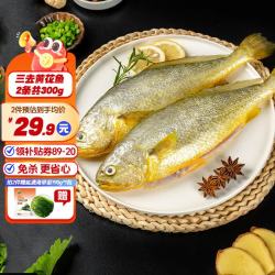 三都港 三去宁德大黄花鱼去鳞去鳃去内脏新鲜生鲜海鲜冷冻水产活冻锁鲜 三去黄花鱼4条装共1.8斤
