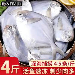 添渔港 深海银鲳鱼新鲜活冷冻海昌银昌鱼白鲳鱼海鲜水产批发 1斤装