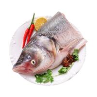 查干湖 胖头鱼鱼头 单边花鲢鱼头净重3.5斤/个 鲜冻大胖头鳙鱼 源头直发