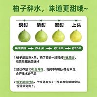 京鲜生 云南西双版纳傣柚 单果600-800g 1粒装