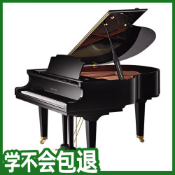京珠 珠江钢琴BGP148D 三角钢琴 专业考级舞台演奏钢琴
