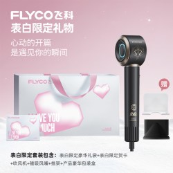 飞科 [钢铁侠联名]飞科高速吹风机家用负离子护发速干电吹风筒生日礼物