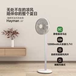 海路世 电风扇无线直流变频风扇家用台地两用落地扇充电空气循环扇