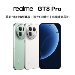 真我 GT8 Pro 第五代骁龙8至尊版/理光GR联名智能手机