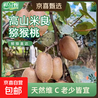 猕猴桃 6枚特大果净重1.7斤