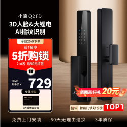 德施曼 Q2FD 3D人脸识别 典雅黑 智能门锁