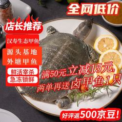 芮宝农场 整只冷冻宰杀汉寿甲鱼净重500g生鲜团鱼海鲜水产盒装送调料包