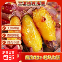 京喜 正宗丝滑榴莲蜜薯新鲜超甜红薯早餐生鲜必备直播间超市京东包邮 1斤 含箱 榴莲蜜薯中大果