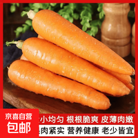 京喜 新鲜 国产 胡萝卜 1斤 含箱