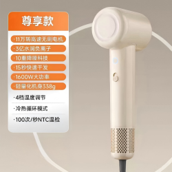 奥克斯 高速吹风机负离子护发静音速干不伤发家用大风力电吹风风筒