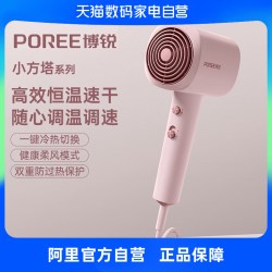 博锐 吹风机大风力大功率家用速干恒温护发官方旗舰正品电吹风223