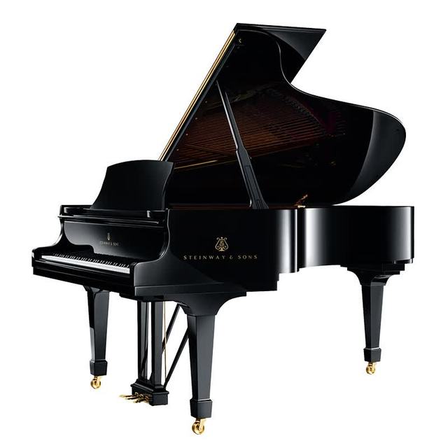 施坦威 B-211 SPIRIO l r 新悦高解析度自动演奏及录音版钢琴