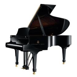 施坦威 B-211 SPIRIO l r 新悦高解析度自动演奏及录音版钢琴