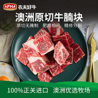农夫好牛 谷饲牛腩肉 原切牛肉牛腩块粒1000g炖煮烧烤食材冷冻牛肉生鲜 (尝鲜)牛腩块500g*1