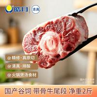皓月 国产谷饲原切牛尾段 2斤