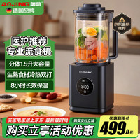 奥劲 德国流食破壁机流食老人鼻饲术后食物饭菜连煮茶