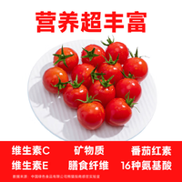 京鲜生 国产樱桃番茄 850g