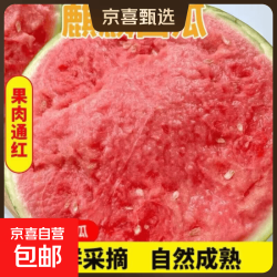 京东 新鲜采摘麒麟西瓜当季新鲜薄皮多汁8424西瓜京东包邮 净重5-7斤装